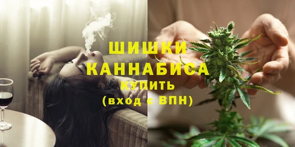 ешки Бородино
