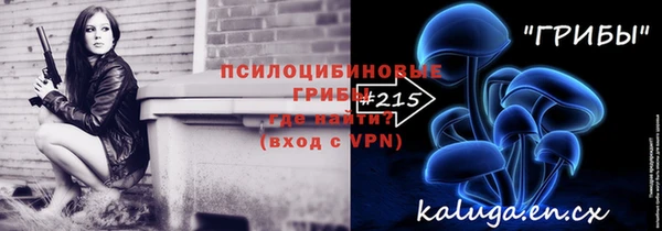 ешки Бородино