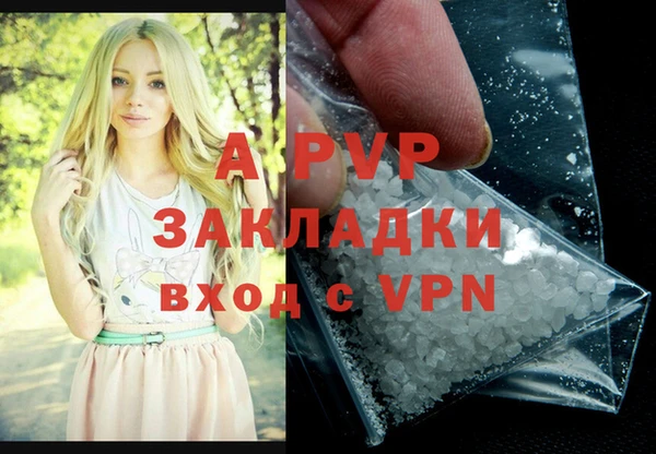 ешки Бородино