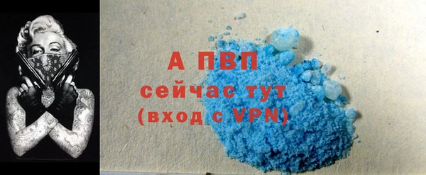 ешки Бородино